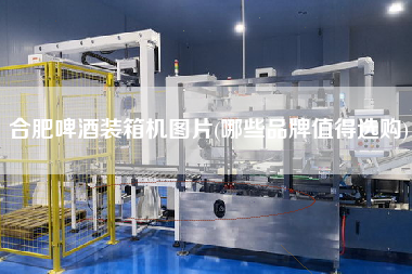 合肥啤酒裝箱機(jī)圖片(哪些品牌值得選購) 合肥啤酒裝箱機(jī)圖片(哪些品牌值得選購)