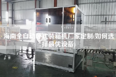 海南全自動臥式裝箱機(jī)廠家定制(如何選擇z優(yōu)設(shè)備)