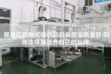 黑龍江抓取式自動(dòng)裝箱機(jī)哪家質(zhì)量好(如何選擇z適合自己的品牌) 黑龍江抓取式自動(dòng)裝箱機(jī)哪家質(zhì)量好(如何選擇z適合自己的品牌)