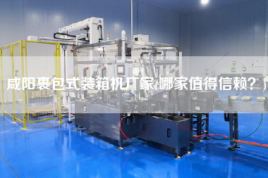 咸陽裹包式裝箱機廠家(哪家值得信賴?) 咸陽裹包式裝箱機廠家(哪家值得信賴?)