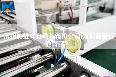 常州側(cè)推式自動裝箱機公司(為何備受行業(yè)青睞?) 常州側(cè)推式自動裝箱機公司(為何備受行業(yè)青睞?)