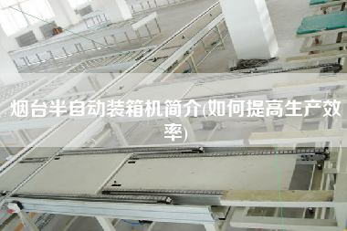 煙臺(tái)半自動(dòng)裝箱機(jī)簡(jiǎn)介(如何提高生產(chǎn)效率)