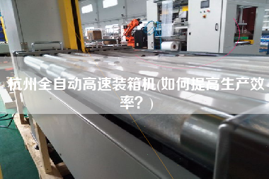 杭州全自動高速裝箱機(如何提高生產效率?) 杭州全自動高速裝箱機(如何提高生產效率?)