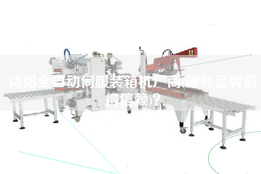 咸陽全自動(dòng)伺服裝箱機(jī)廠商(哪些品牌值得信賴)？