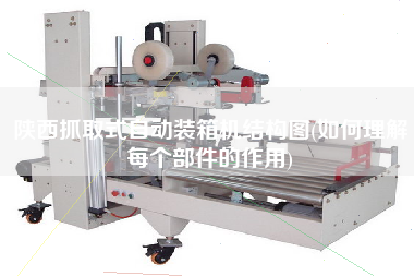 陜西抓取式自動裝箱機結構圖(如何理解每個部件的作用)