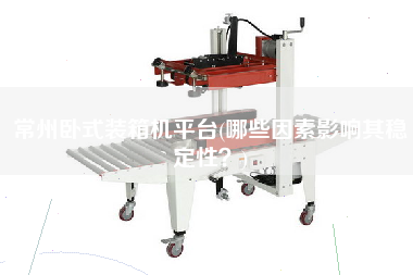 常州臥式裝箱機平臺(哪些因素影響其穩(wěn)定性?) 常州臥式裝箱機平臺(哪些因素影響其穩(wěn)定性?)